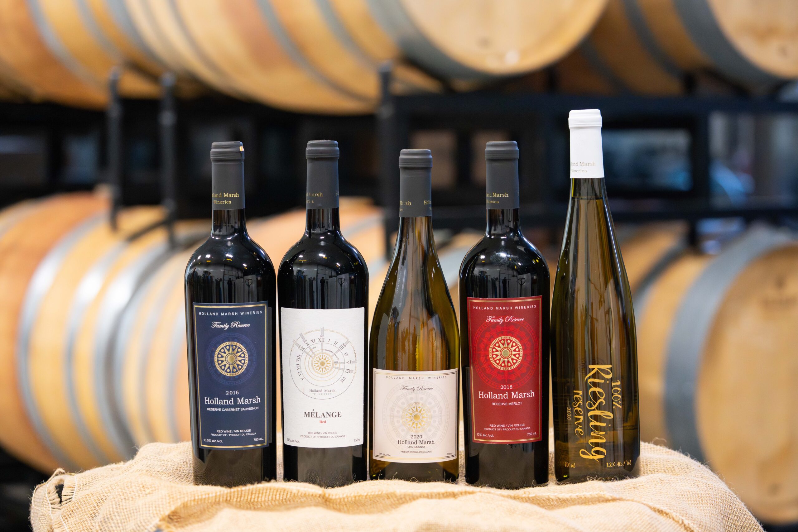 HOMEPAGE-TOUR-SECTION